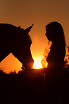 pferdefotos deutsches_reitpony