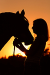 pferdefotos deutsches_reitpony