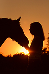 pferdefotos deutsches_reitpony