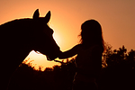 pferdefotos deutsches_reitpony