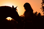 pferdefotos deutsches_reitpony