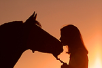 pferdefotos deutsches_reitpony
