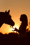 pferdefotos deutsches_reitpony