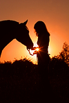 pferdefotos deutsches_reitpony