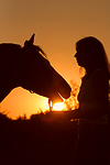 pferdefotos deutsches_reitpony