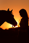 pferdefotos deutsches_reitpony