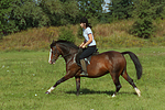 pferdefotos deutsches_reitpony
