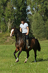 pferdefotos deutsches_reitpony