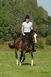 pferdefotos deutsches_reitpony