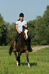 pferdefotos deutsches_reitpony