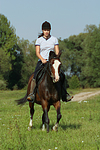 pferdefotos deutsches_reitpony
