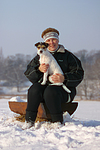 hundefotos parson_russell_terrier