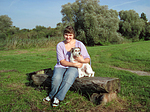 hundefotos parson_russell_terrier