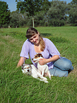 hundefotos parson_russell_terrier