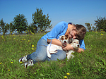 hundefotos parson_russell_terrier