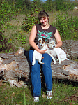 hundefotos parson_russell_terrier