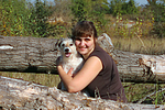 hundefotos parson_russell_terrier