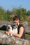 hundefotos parson_russell_terrier