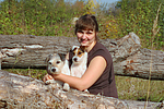 hundefotos parson_russell_terrier