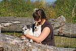 hundefotos parson_russell_terrier