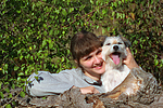 hundefotos parson_russell_terrier