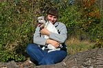 hundefotos parson_russell_terrier