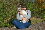 hundefotos parson_russell_terrier