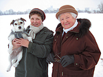hundefotos parson_russell_terrier