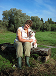 hundefotos parson_russell_terrier