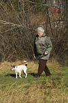hundefotos parson_russell_terrier