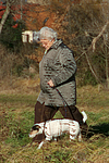 hundefotos parson_russell_terrier