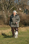 hundefotos parson_russell_terrier