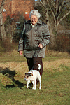hundefotos parson_russell_terrier