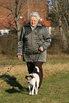 hundefotos parson_russell_terrier