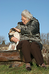 hundefotos parson_russell_terrier