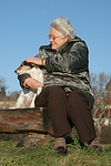 hundefotos parson_russell_terrier