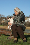 hundefotos parson_russell_terrier