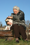 hundefotos parson_russell_terrier