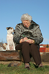 hundefotos parson_russell_terrier