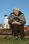 hundefotos parson_russell_terrier