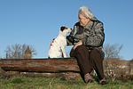 hundefotos parson_russell_terrier