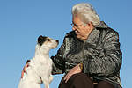hundefotos parson_russell_terrier