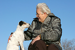 hundefotos parson_russell_terrier