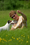 hundefotos parson_russell_terrier