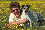hundefotos parson_russell_terrier