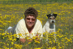 hundefotos parson_russell_terrier