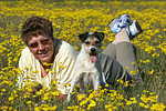 hundefotos parson_russell_terrier