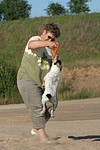 hundefotos parson_russell_terrier